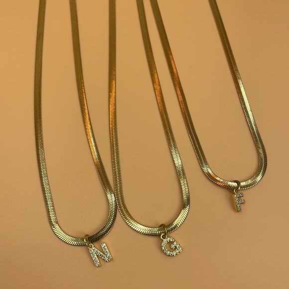 Titanium Steel and Zircon Snake Adjustable Length Necklace With Initial - Picture 2 of 6